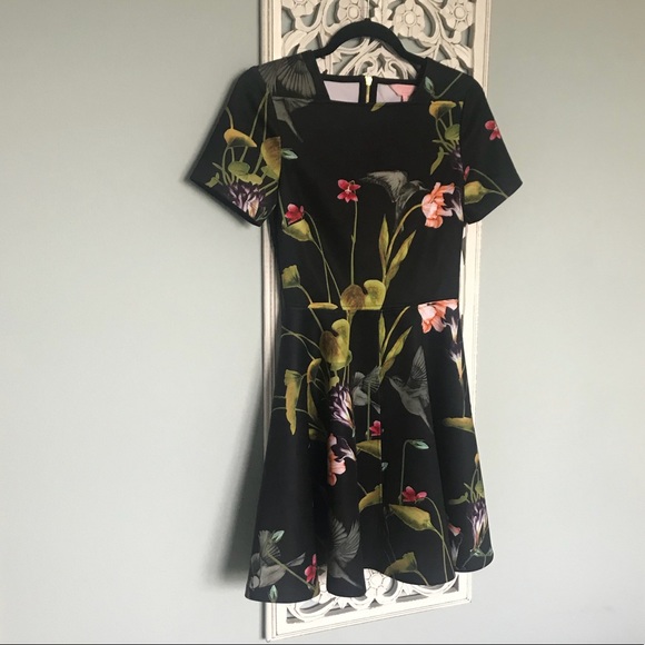 hummingbird dress ted baker